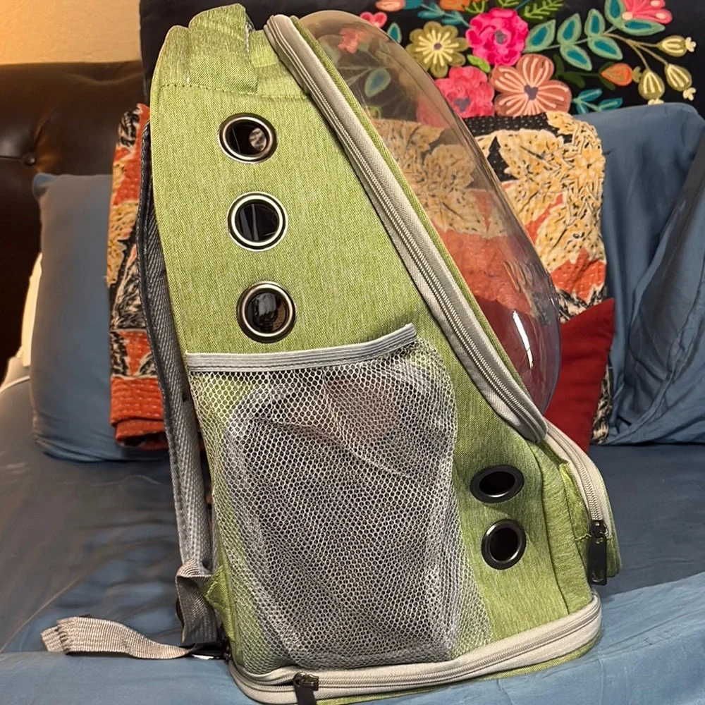 Green Dog Carrier Backpack